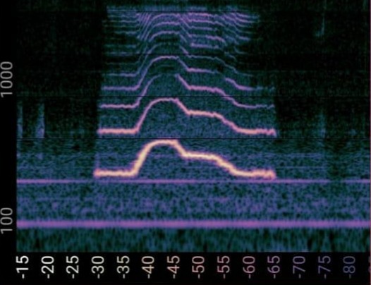 A spectrogram of a sound that draws the outline of an elephant (or hat or snake) like the one in the book The Little Prince.